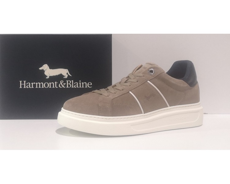 HARMONT&BLAINE 005.5130 AI 24/25