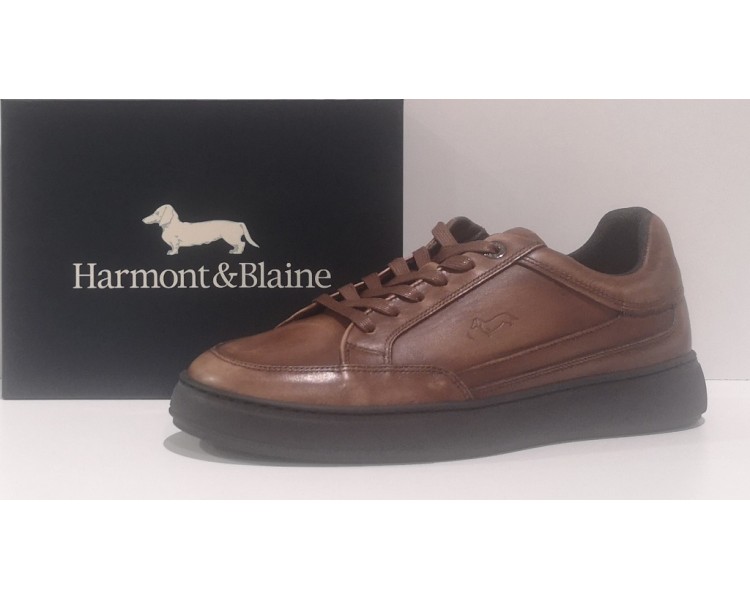 HARMONT&BLAINE 011.5310 AI 24/25